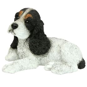 Black & White Cocker Spaniel Puppy