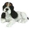 Black & White Cocker Spaniel Puppy