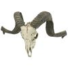 Corsican Ram Skull And Horns Plaque