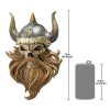 Skull Of Valhalla Viking Plaque