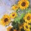 13X15 Sunflowers 1881