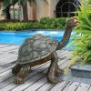 Curious Tortoise Bronze Statue