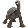 Curious Tortoise Bronze Statue