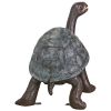 Curious Tortoise Bronze Statue