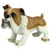 Winston The British Bulldog Statue