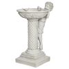 Summers Splash Birdbath