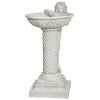 Summers Splash Birdbath