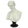 Venus De Milo Bust