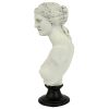 Venus De Milo Bust