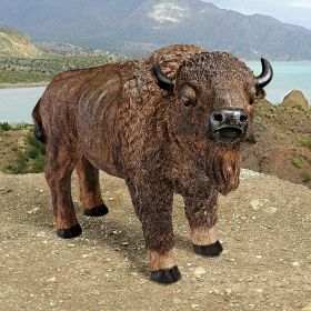 American Buffalo Statue