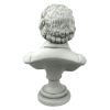 Beethoven Composer Bust