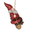 Sammy The Swinging Gnome