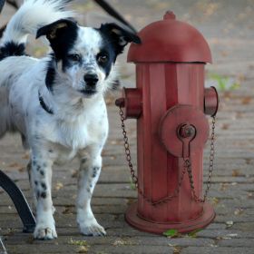 Medium Metal Replica Fire Hydrant