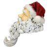 Ho Ho Hold It Santa Stocking Holder