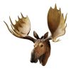 Alaskan Moose Trophy