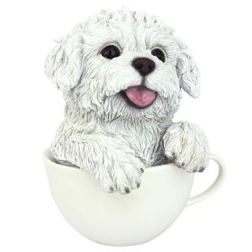 Pup In Cup White Maltese