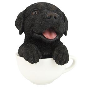 Pup In Cup Black Lab