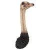 Ostrich Trophy Bird Wall Sculpture