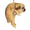 Pug Dog Hanging