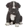 Border Collie Puppy Partner Statue