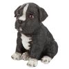 Border Collie Puppy Partner Statue