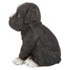 Border Collie Puppy Partner Statue