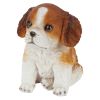 Red & White Cavalier Puppy Partner