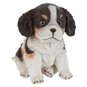 Black & White Cavalier Puppy Partner