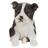 Boston Terrier Pupy Partner Statue