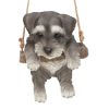 Mini Schnauzer Dog Hanging