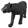 Large Shadowed Predator Black Panther