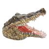 Chomper Crocodile Head Statue