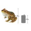 Lester The Leopard Frog Statue