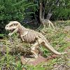 T-Rex Dinosaur Skeleton Statue