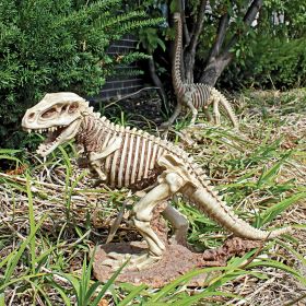 T-Rex Dinosaur Skeleton Statue