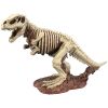 T-Rex Dinosaur Skeleton Statue