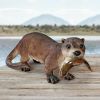 River Otters Big Catch Statue