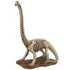 Brachiosaurus Skeleton Dinosaur Statue