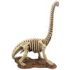 Brachiosaurus Skeleton Dinosaur Statue