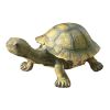 Large Tranquil Tortoise