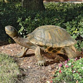 Giant Tranquil Tortoise