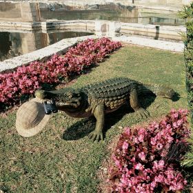 The Gargantuan Garden Gator