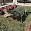 The Gargantuan Garden Gator