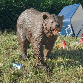 Grand Scale Brown Bear