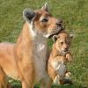 Lioness With Cub Statue