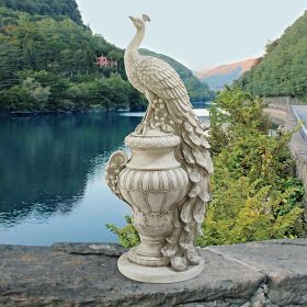 Staverden Peacock On An Urn Statue