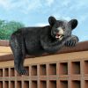 Lemont The Lovable Lounger Black Bear