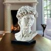 Bust Of Michelangelos David