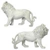 S/2 Regal Lions Of Grisham Manor