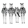 Static Stripes Zebra Frieze